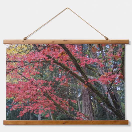 Red Maple Leaves on Tree Botanical Wandteppich Mit Holzrahmen (Vorne)