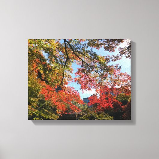 Red Maples im japanischen Garten Leinwanddruck (Vorderseite)