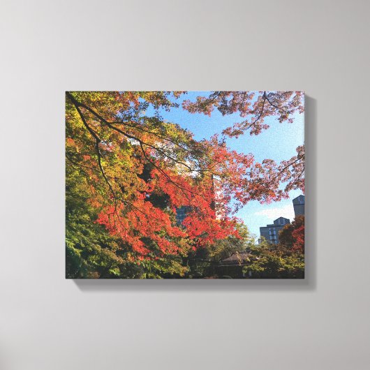 Red Maples im japanischen Garten Leinwanddruck (Vorderseite)