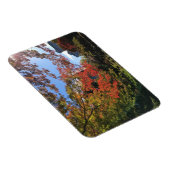 Red Maples im japanischen Garten Magnet (Rechte Seite)