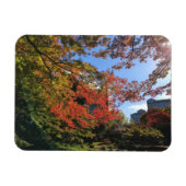 Red Maples im japanischen Garten Magnet (Horizontal)