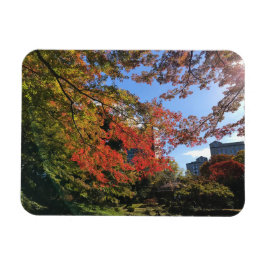 Red Maples im japanischen Garten Magnet