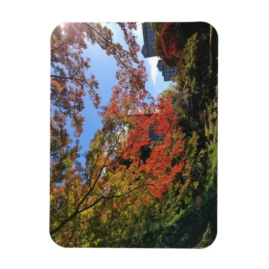 Red Maples im japanischen Garten Magnet (Vertikal)