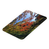 Red Maples im japanischen Garten Magnet (Linke Seite)