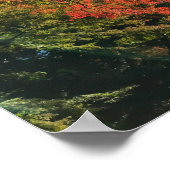 Red Maples im japanischen Garten Poster (Ecke)