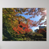 Red Maples im japanischen Garten Poster (Vorne)