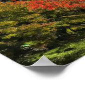 Red Maples im japanischen Garten Poster (Ecke)