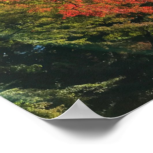 Red Maples im japanischen Garten Poster (Ecke)