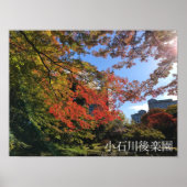 Red Maples im japanischen Garten Poster (Vorne)