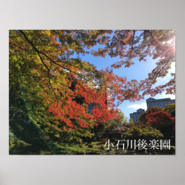 Red Maples im japanischen Garten Poster