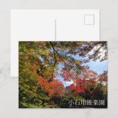 Red Maples im japanischen Garten Postkarte (Vorne/Hinten)