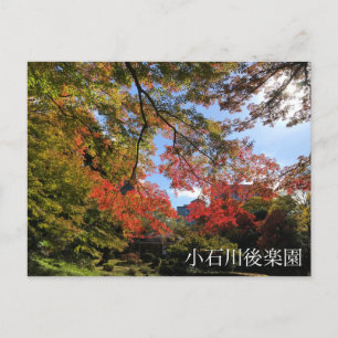Red Maples im japanischen Garten Postkarte
