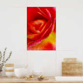 Red Mardi Gras Rose Impressionist Fotografie Poster (Küche)