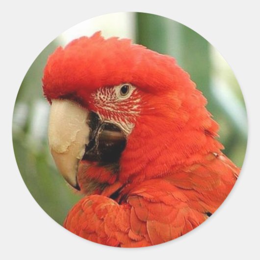 Red McCaw Stickers (Vorderseite)