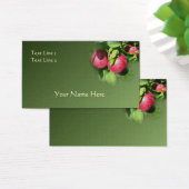 Red McIntosh Äpfel auf Baumart (Schreibtisch)