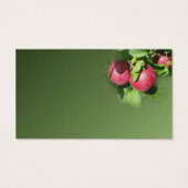 Red McIntosh Äpfel auf Baumart (Rückseite)