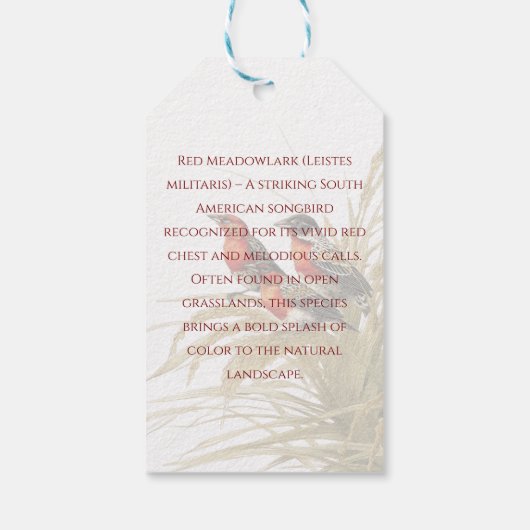 Red Meadowlark Geschenkanhänger (Rückseite)