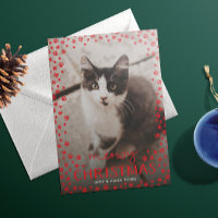 Red Meowa Weihnachts-Pet Lover Holiday Foto-Karte