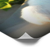 Red Merle 2 Australian Shepherd Poster (Ecke)