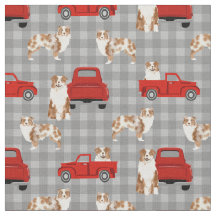 Red Merle Aussie und Red LKW kariert