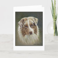 Red Merle Australian Shepherd Grußkarte