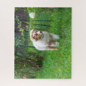 Red Merle Australian Shepherd Puzzle (Vertikal)