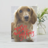 Red Merry Everything Foto Feiertagskarte (Stehend Vorderseite)