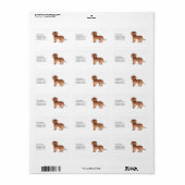 Red Mini Goldendoodle Cartoon Dog & Text Adressaufkleber (Vorne)