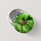 Red Mit Augen Cicada Button (Vorne & Hinten)