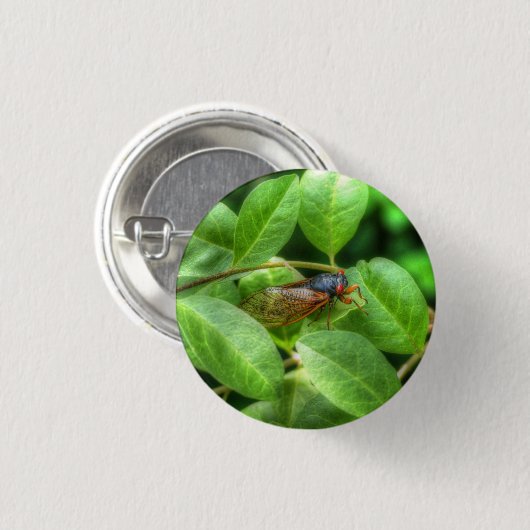 Red Mit Augen Cicada Button (Vorne & Hinten)
