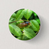 Red Mit Augen Cicada Button (Vorderseite)