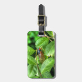 Red Mit Augen Cicada Gepäckanhänger (Vorderseite vertikal)