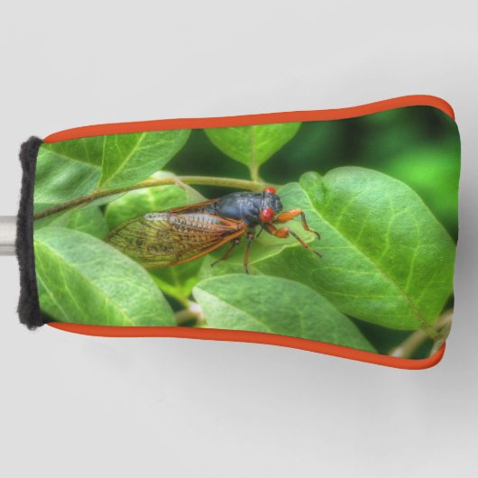 Red Mit Augen Cicada Golf Headcover (Vorderseite)