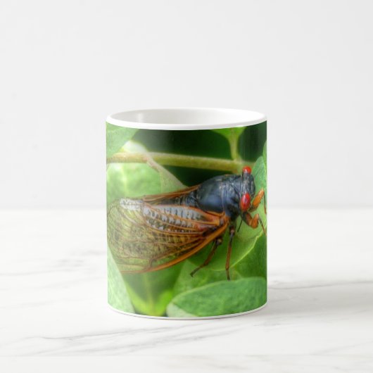Red Mit Augen Cicada Kaffeetasse (Mittel)