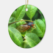Red Mit Augen Cicada Keramik Ornament (Links)
