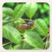 Red Mit Augen Cicada Rechteckiger Pappuntersetzer (Vorderseite)