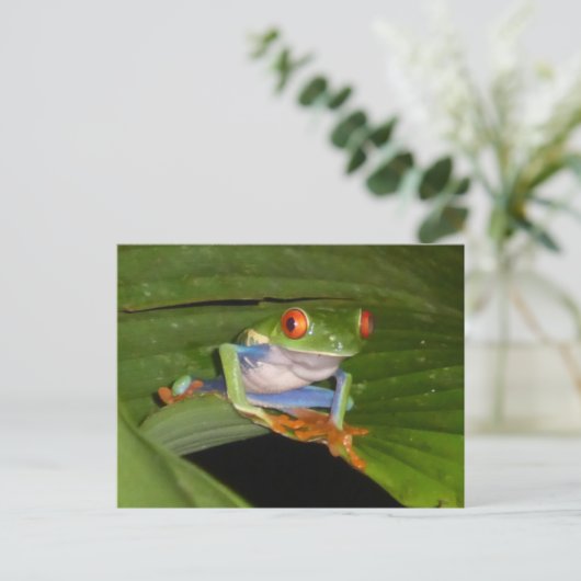 Red Mit Augen Gaudy Frog DIY Postcard Postkarte (Stehend Vorderseite)