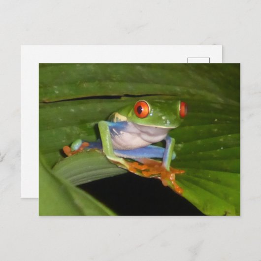 Red Mit Augen Gaudy Frog DIY Postcard Postkarte (Vorne/Hinten)