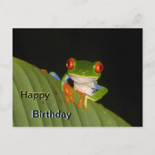 Red Mit Augen Gaudy Frog Happy Birthday Postcard Postkarte