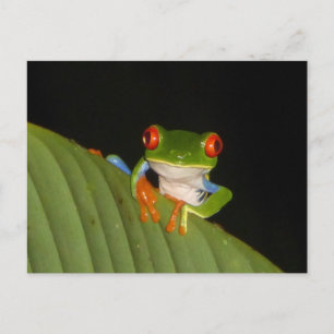 Red Mit Augen Gaudy Night Frosch DIY Postcard Postkarte