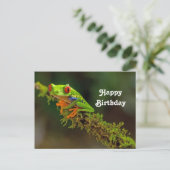 Red Mit Augen Tree Frog Foto Geburtstag Postkarte (Stehend Vorderseite)