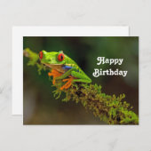 Red Mit Augen Tree Frog Foto Geburtstag Postkarte (Vorne/Hinten)