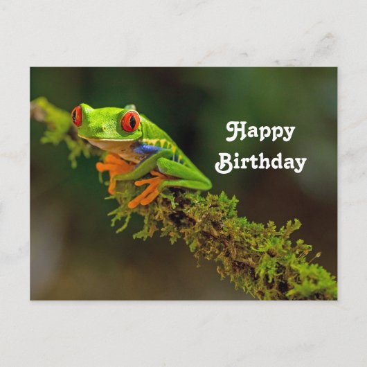 Red Mit Augen Tree Frog Foto Geburtstag Postkarte (Vorderseite)