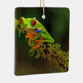 Red Mit Augen Tree Frog Foto Keramikornament (Rechts)
