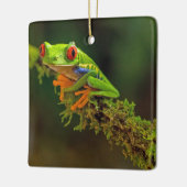 Red Mit Augen Tree Frog Foto Keramikornament (Links)