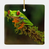 Red Mit Augen Tree Frog Foto Keramikornament (Rückseite)