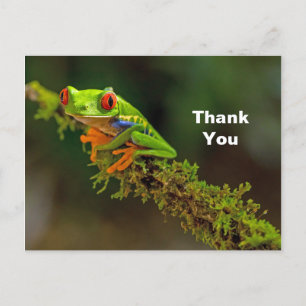 Red Mit Augen Tree Frog Foto Vielen Dank Postkarte