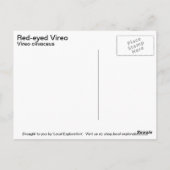 Red-mit Augen Vireo Postkarte (Rückseite)