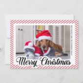Red Modern Calligraphy Pet Foto Frohe Weihnachten (Vorderseite)
