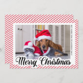 Red Modern Calligraphy Pet Foto Frohe Weihnachten (Vorne/Hinten)